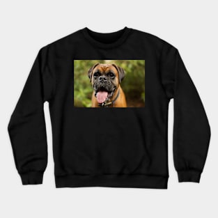 Boxer Dog Crewneck Sweatshirt